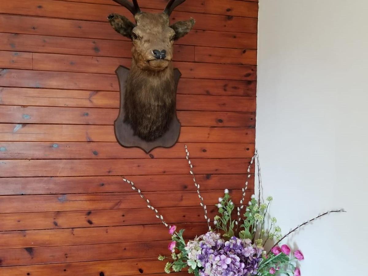 Glenan Lodge Self Catering Tomatin Buitenkant foto